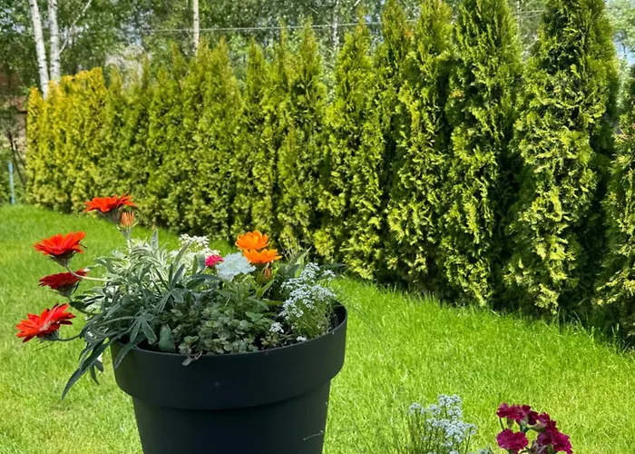 Richkas з чаном-джакузі Apartamento *