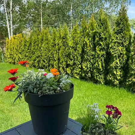 Richkas з чаном-джакузі Apartment *